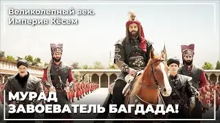 Султан Мурад Вернулся Из Багдада | Великолепный век. Империя Кёсем