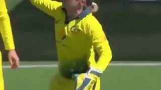Ellyse Perry-Fast Bowler setting up a dismissal