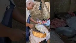 Huge Rock Fish Cutting Skills Village Fish Market #livefishcutting