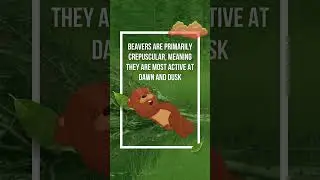 Amazing Beaver Facts That Will Surprise You! #beaver #facts #animal