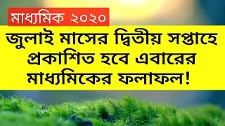 WB MP 2020 result out date