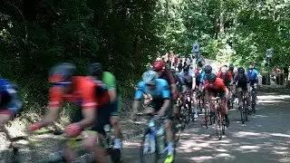 Wageningse muur