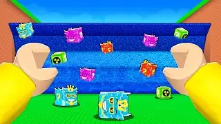 Escape Tsunami For Brainrots Owner Gave Me Infinite Lucky Blocks&hellip;