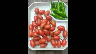 Miracle Berry ; Miracle fruit ! for you !