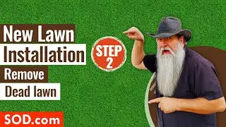 New Lawn Installation Step 2: Remove Dead Lawn sod.com