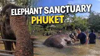 Discover the BEST Elephant Sanctuary in PHUKET