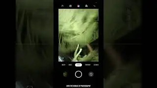Mobile photography tips 📲 #26 leaf photography on night