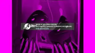 Bananas In Pyjamas Theme Song 2010 In G Major By Ltv Mca