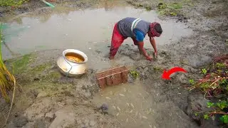 Unique Traditional Hand Fishing | Best Hand Fishing From Mud Water With Beautiful Nature @ABTVbd