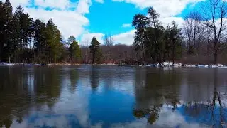 Reinstein Woods