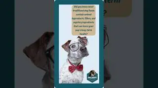 🐶 Our dogs Deserve The Best Food Possible❗️ Feed Fresh, Plant-Based, Eco-Friendly Dog Food Today ‼️