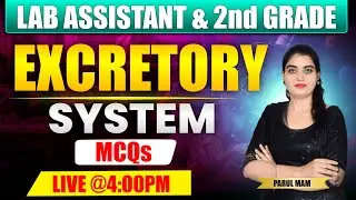 Excretory system MCQs for Lab Assistant ll 2nd Grade biology Classes ll Lab assistant biology #rssb