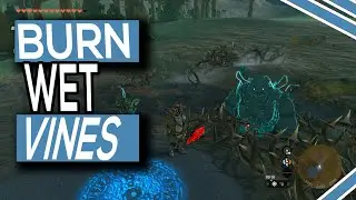 How To Burn Wet Vines In Legend Of Zelda Tears Of The Kingdom