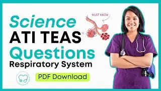 Рабочая тетрадь TEAS по анатомии и физиологии в формате PDF – Дыхательная система (10 вопросов)