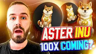 Aster Inu Staking System Explained: How Holders Grow in the Network