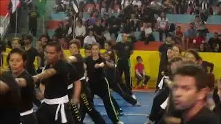 Exame de Faixa Liga Garra De Águia - Tematico de Artes Marciais