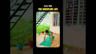 Day - 196/365 Days of Discipline: A Journey to My Dreams