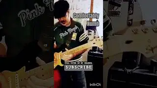 COMFORTABLY NUMB 2nd Solo 3/3 #pinkfloyd #davidgilmour #guitarsolo #comfortablynumb