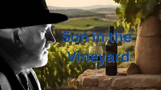Mystery Son and the Vineyard