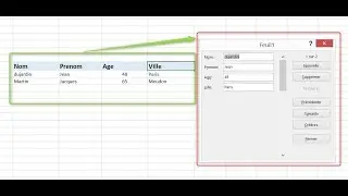 Formulaire de saisie Excel (sans VBA) - D&eacute;butants