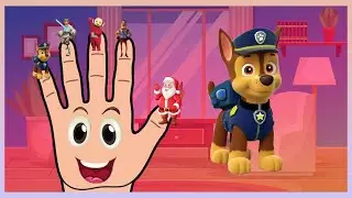 Paw Patrol MEGA Finger Family Song With Star Wars, Teletubbies & MORE!