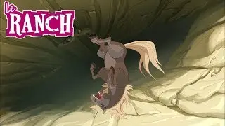Le Ranch | Miro Tombe dans la Grotte ! 😨 | ZeeToons - Dessins Animés pour Enfants