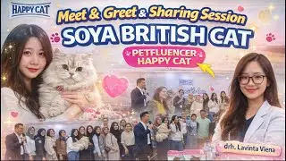RESPONSIBLE LOVE PAWRENT KEPADA KUCING SEBAGAI HEWAN PELIHARAAN | Sharing Session | Happy Cat PART 1