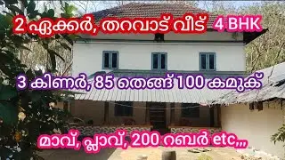 #തറവാട് വീട്# 2ഏക്കർവസ്തു #തെങ്ങ് #കമുക് #മാവ് #പ്ലാവ് #ഓപ്പൺക്കിണർ 3 #realestate #oldhome #forsale 