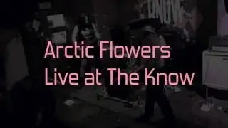 Arctic Flowers -