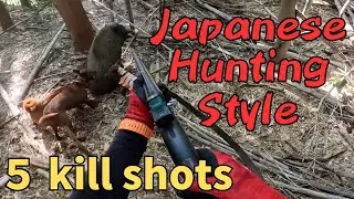 【Japanese hounds】Wild Boar Hunting Compilation