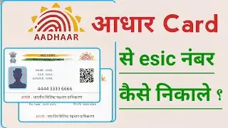 Aadhaar Card Se Esic Number Kaise Nikale, How To Find Esic Number In Aadhaar Card