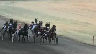 Cervantonpridegar & D. Petrović