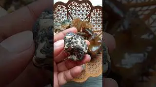😋Yummy🥞Pudding Stone😍From India 🇮🇳🤠#shorts #pudding #stone #earth #gems #nature #rock #india #rocks