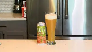 Beer of the Week: Pumpkin Patch Kittens - New England IPA | Fat Orange Cat Brew Co