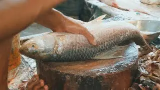 amazing ruho fishcutting skills best fishing