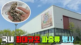 올 가을 첫 파충류 행사네요! 애니멀포럼 in수원메쎄 