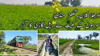 Countryside Railfanning, Mustard Fields, Ojhla Kalan, Punjab Pakistan