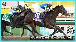 GOAL ORIENTED wins the 2025 Malibu Stakes (G1)