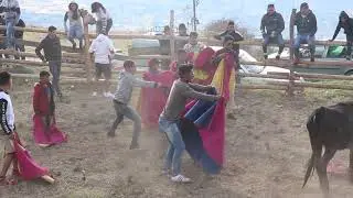 fiestas de Arrayan 2019
