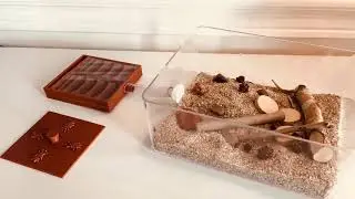 Complete Ant Farm Kit / Formicarium