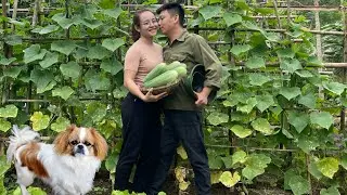 Cook stove-roasted pork with her husband, sell papaya at the garden
