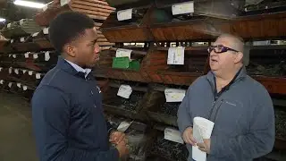 'Across the board' effect: Businesses, consumers prepare for U.S.-China tariffs impact