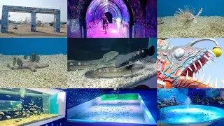 under water tunnel aqua exhibition in nellore @sangam media