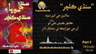 Book Sindhi Culture | Writer GM Syed #SindhiAudioBooksLibrary #sindhistatus