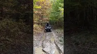 Cf moto 450🔥🔥 #cfmoto #forest #foryou #outdoors #quads #f #offroad #youtubeshorts #viral #autumn