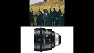 &lsquo;Gorilla&rsquo; - @littlesimz - 🔎 ARRI Ultra Prime 32mm T1.9 - 📹 ARRI Alexa 35