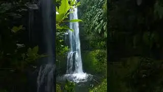 #nature #shorts #status 🌤️Nature full-screen status video 4k video HD - 2021 | 🌱Nature WhatsApp