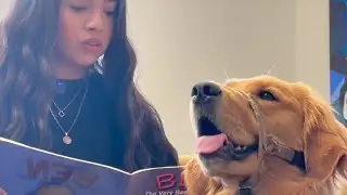 Puppy partners are boosting reading skills in Phoenix school