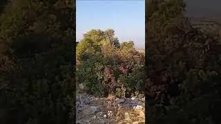 walk with me - rural views in Cyprus