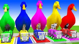 Long Slide Game With Cow Elephant Gorilla Hippopotamus Tiger - 3d Animal Game - Funny 3d Animals